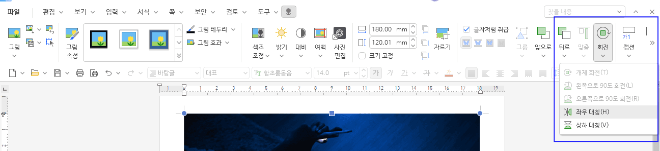 그림 메뉴 회전 대칭 옵션 선택