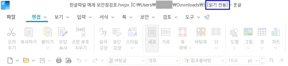 한글파일 읽기전용 개념 예시 화면