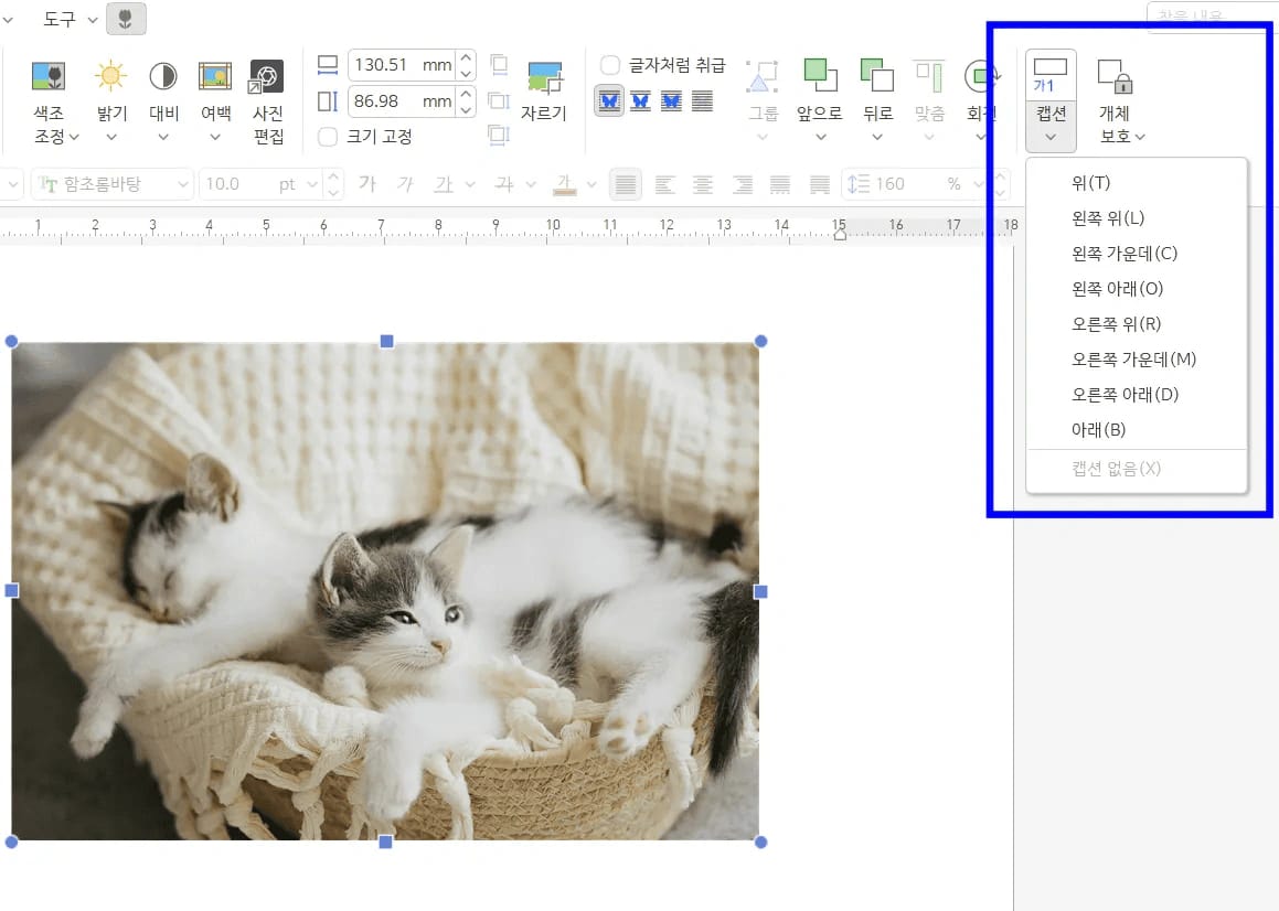 한글 그림 캡션 넣기 위치 설정 화면