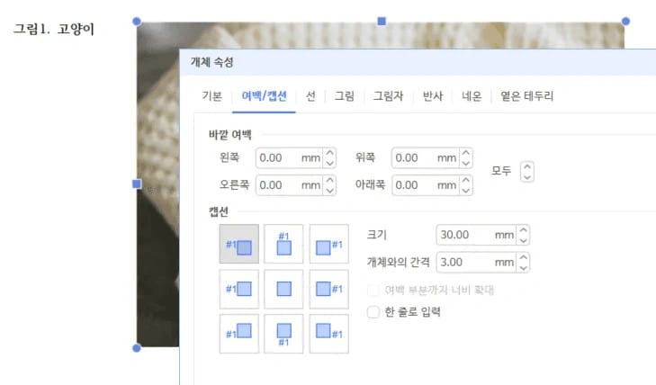 한글 그림 개체 속성 캡션 여백 간격 설정 화면